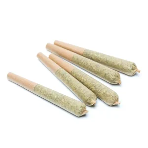 5-PACK PRE-ROLLS