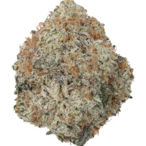 Grease Monkey