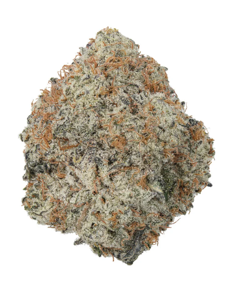 Grease Monkey
