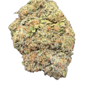 Pink Champagne