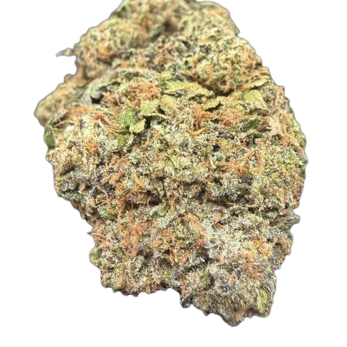 Pink Champagne
