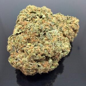 pink-rolex-indica